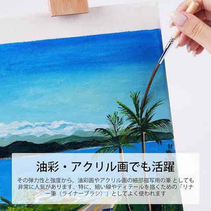 3 本 / 5 本セット天然牛耳毛画筆セット
