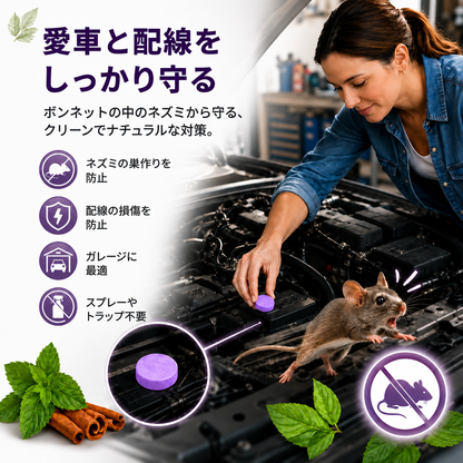 1 個ご購入で 1 個プレゼント ✅ 顧客満足 10,000 名以上 🐭 天然ペパーミント＆シナモン配合 害虫・ネズミ忌避パック 🕷️🐍