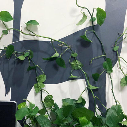 植物登山アーティファクト修正クリップ(30個)